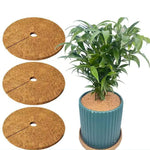 tapis protection pots fleurs marron clair texture naturelle antigel biodegradable 20cm 25cm 30cm 35cm