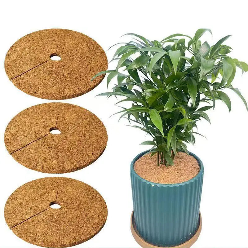 tapis protection pots fleurs marron clair texture naturelle antigel biodegradable 20cm 25cm 30cm 35cm