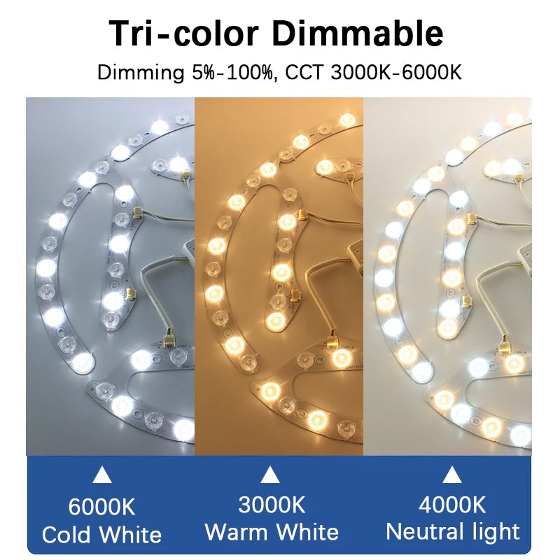 Module LED blanc moderne 72W 96W aimants remote control tricolore 220V