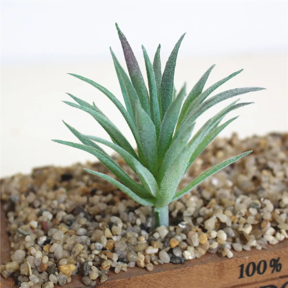 plantes artificielles bleu violet rose vert feuilles pointues moderne décoration intérieure extérieur gravier bois