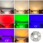 plaque led moderne 31mm blanc violet rouge vert led intégrées circulaire opacity