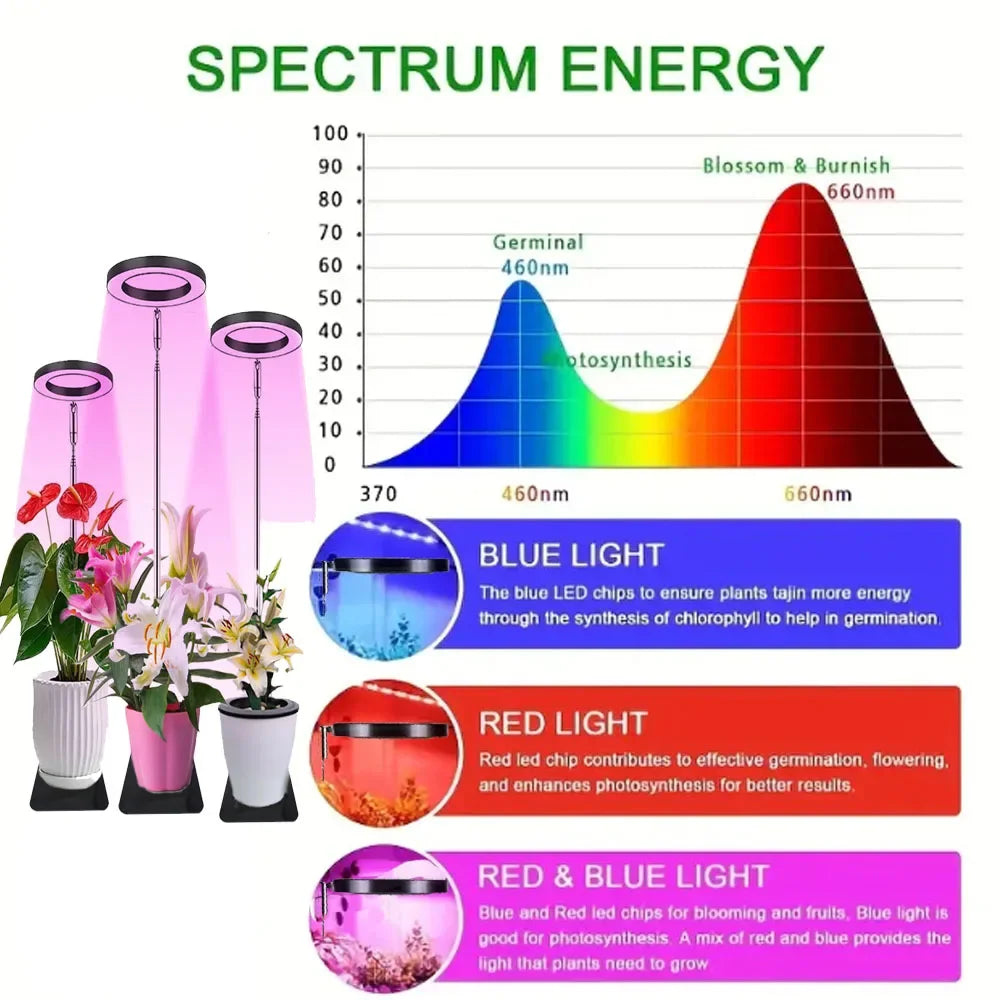 lampe led plante noire blanche rose moderne minimaliste réglable usb autonomie