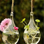 vase suspendu moderne transparent sans décoration fleurs eau decoration mariage