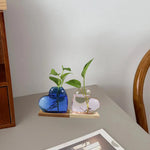vase verre forme cœur transparent moderne plante verte support bois