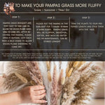décoration boho bouquet pampas séchés beige crème anniversaire mariage table vase