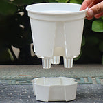 pots plantes auto arrosants transparents moderne blanc plateau d'eau