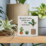 tableau moderne blanc vert brun cactus plante growth différent everyone chambre decoration