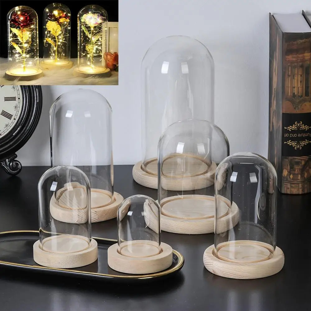 cloches verre transparentes moderne base bois qualité alimentaire hermétiques stockage