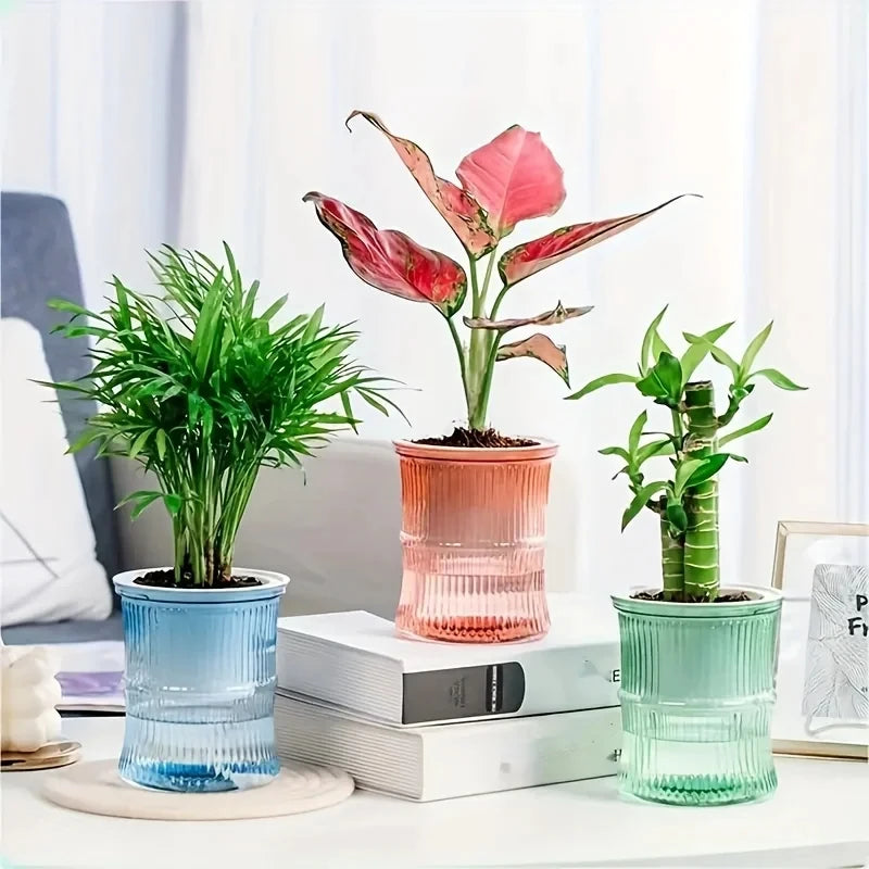 Pot plante moderne rayures verticales plante verte gris bleu rose