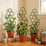 treillis plante noir hexagonal moderne pot fleur support jardin opaque