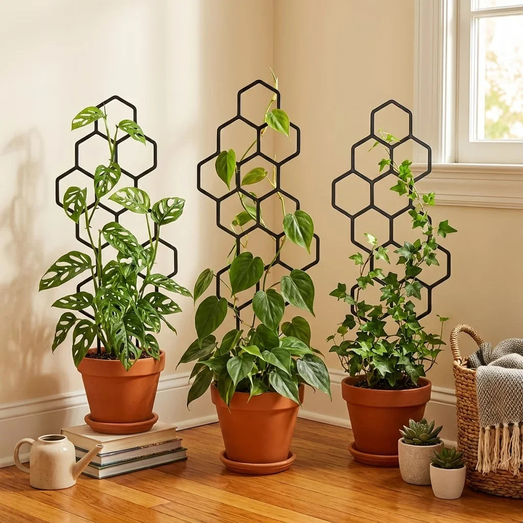 treillis plante noir hexagonal moderne pot fleur support jardin opaque