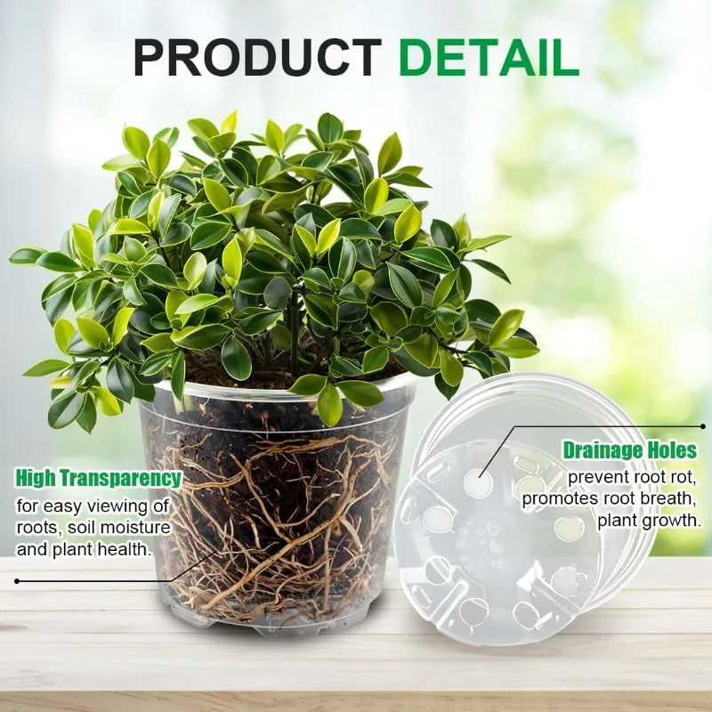 pots fleurs transparents modernes drainage holes ensemble plantes herbes cactus