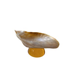 assiettes verre coquillages support fruits bijoux transparents naturels artisanal moderne