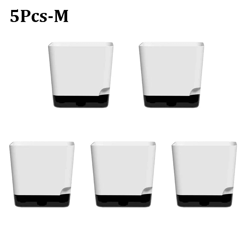 pots plantes succulentes auto arrosage drainage soucoupe transparent moderne minimaliste