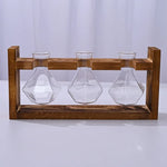 support plante bois vases verre transparent modernes plantes vertes decoration hydroponique minimaliste