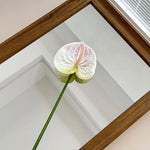 décoration intérieure plante artificielle feuilles ovales moderne vase boîte enjoy life rouge vert blanc