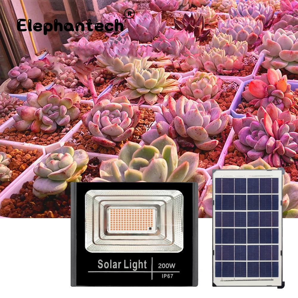 lampe croissance solaire led noir bleu orange carreaux moderne verre trempé transparent panneau solaire