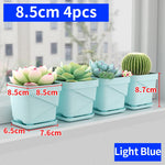 petit pot fleurs blanc plastique moderne cactus succulentes plateau intégré