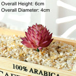 plantes succulentes artificielles décoration maison extérieur bonsaï feuilles pointues rouge vert rose bleu violet