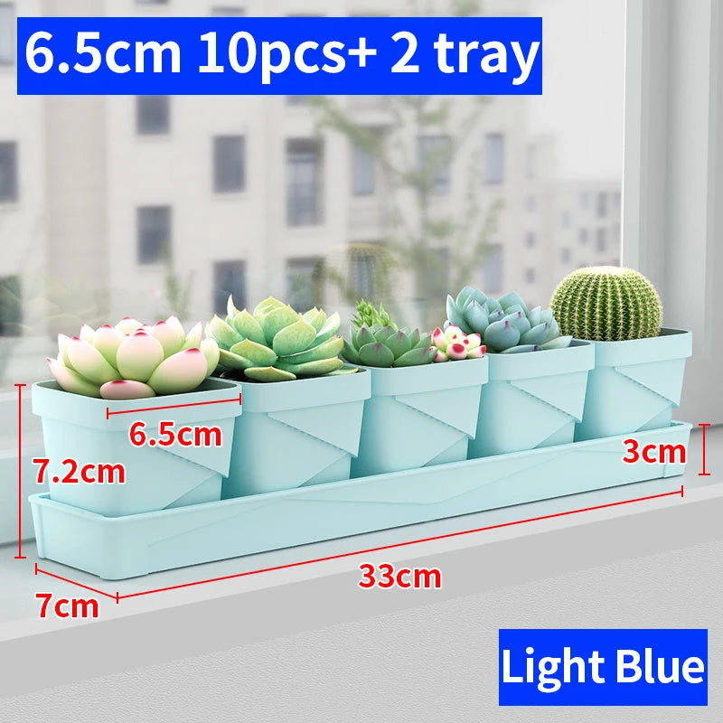 petit pot fleurs blanc plastique moderne cactus succulentes plateau intégré