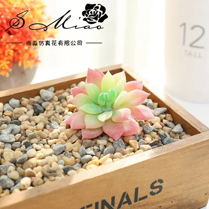 plantes succulentes artificielles vert feuilles pointues réaliste gravier boîte bois extérieur anniversaire exposantDecoration