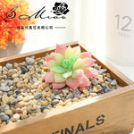 plantes succulentes artificielles vert feuilles pointues réaliste gravier boîte bois extérieur anniversaire exposantDecoration