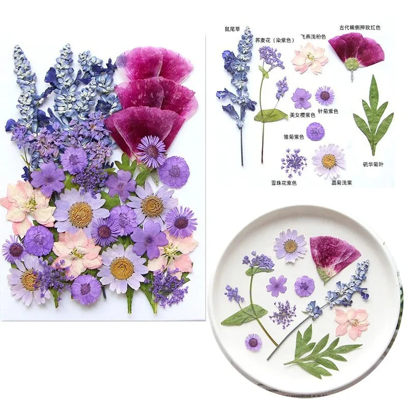 fleurs séchées multicolores variées naturelles scrapbooking décoration maison artisanat DIY