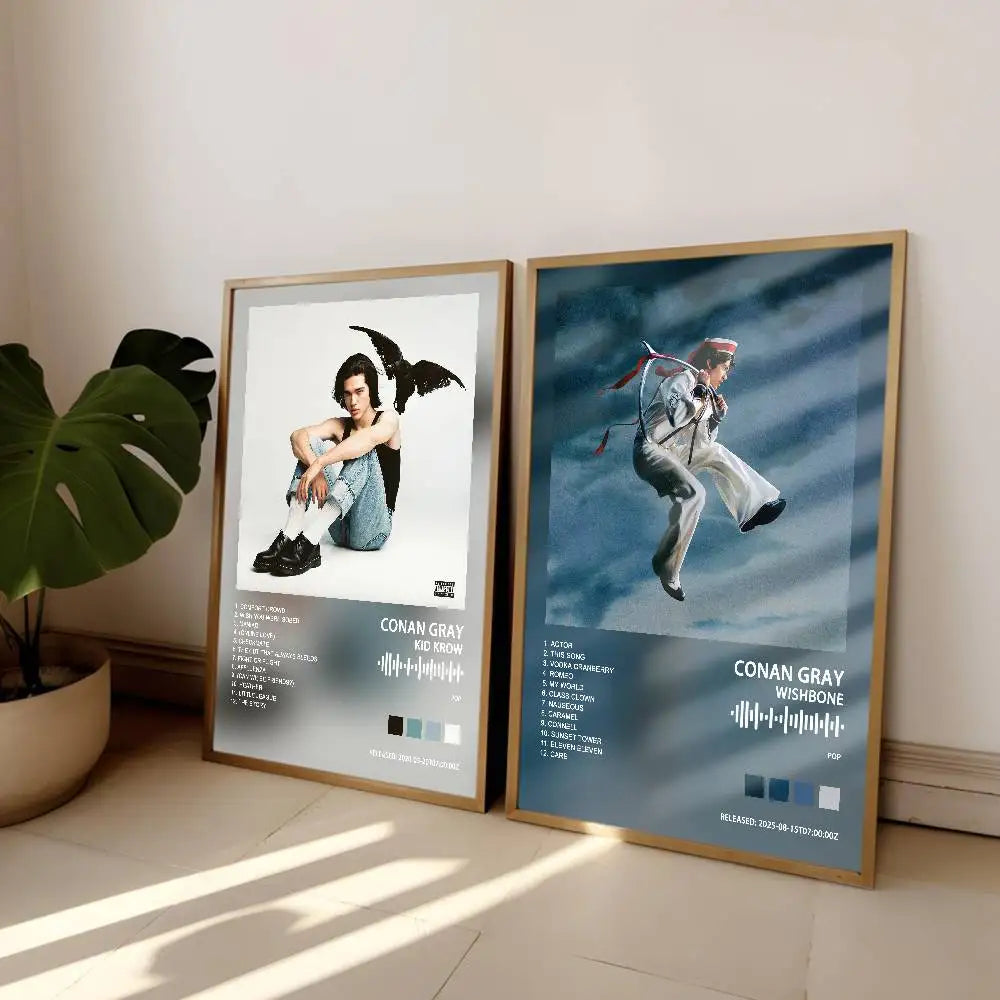 affiches musicales pop concerts chansons noir blanc gris bleu rouge vert cadre bois salon