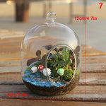 terrarium suspendu verre transparent plante mousse fleur moderne minimaliste