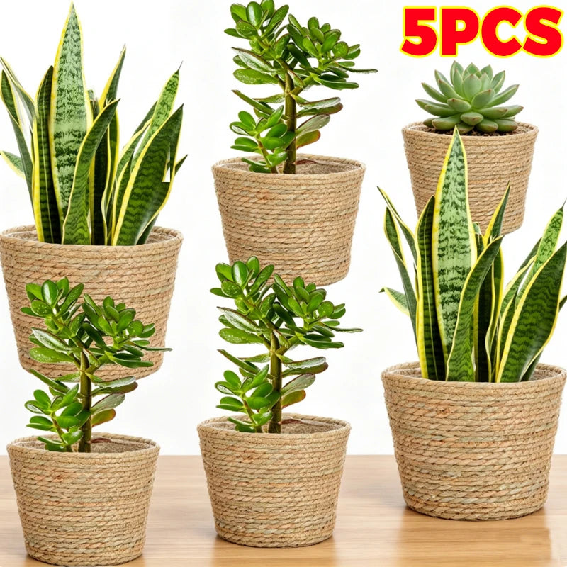 paniers tressés naturels rustiques organisez jardin 5pcs plantes vertes decoration