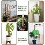 support plantes intérieur irrigation monstera adhésif conteneur eau gravier mousse terre modernes transparents