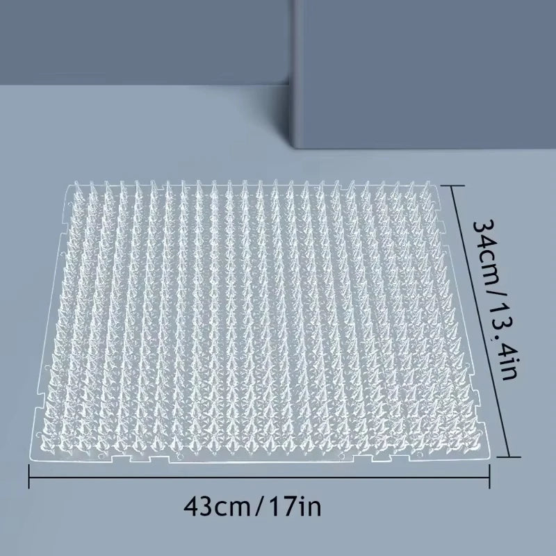 tapis anti griffes chat protection picots transparent utilitaire fonctionnel fixations œilletsintérieur maison