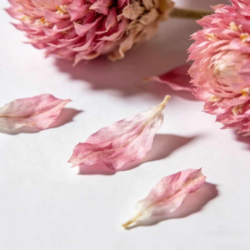 pétales fleurs séchées roses blanches feuilles vertes artisanat bricolage fournitures fabrication bougies naturellesiège plat
