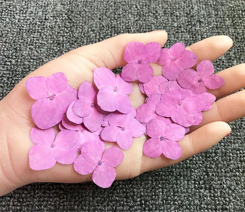 fleurs séchées hybrides orange rose violet bleu décoration maison intérieure DIY craft deco festive