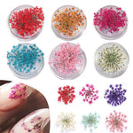 décorations nail art fleurs séchées violet rose vert rouge orange blanc naturel strass ongles