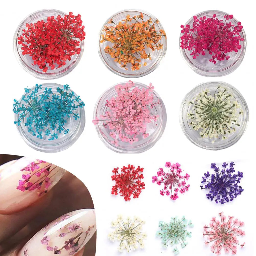 décorations nail art fleurs séchées violet rose vert rouge orange blanc naturel strass ongles