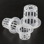 paniers hydroponiques blancs perforations circulaires modernes pots culture plantes aéroponique pépinièreClone