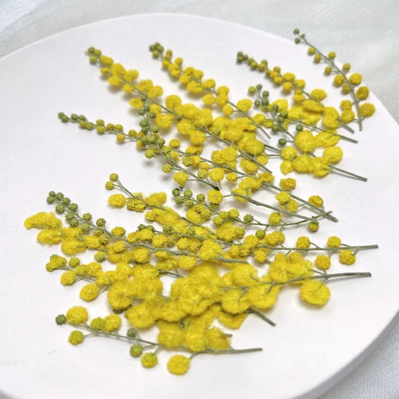 fleurs séchées acacia jaune vert bouquet naturel artisanal intérieur décoration maison anniversaire baby shower