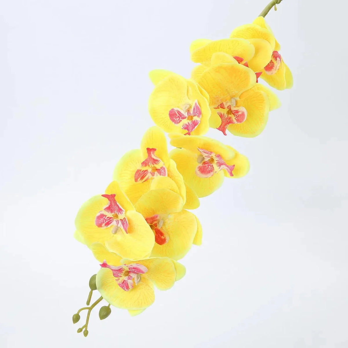 décoration intérieure orchidées artificielles phalaenopsis blanc moderne fête mariage anniversaire baby shower