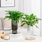 pots fleurs transparents gris rayures verticales moderne arrangement floral intérieur auto arrosage bambou porte