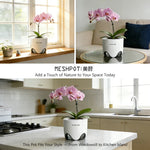 pots orchidées blancs modernes perforations ventilation racines aérationintérieurexterne
