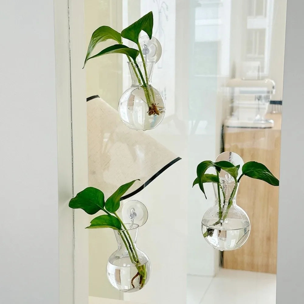 vases suspendus transparents supports adhésifs plantes pot hydroponie feuilles vertes minimaliste modernes