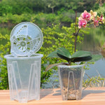 pots fleurs transparents perforations drainage amélioré moderne maison jardin