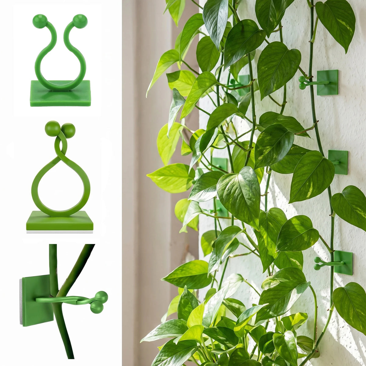 supports muraux auto adhésifs plantes grimpantes 100 pièces vert simples modernes