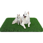 tapis imitation herbe antidérapant lavable chiens décoration toilettage écologique dense vert