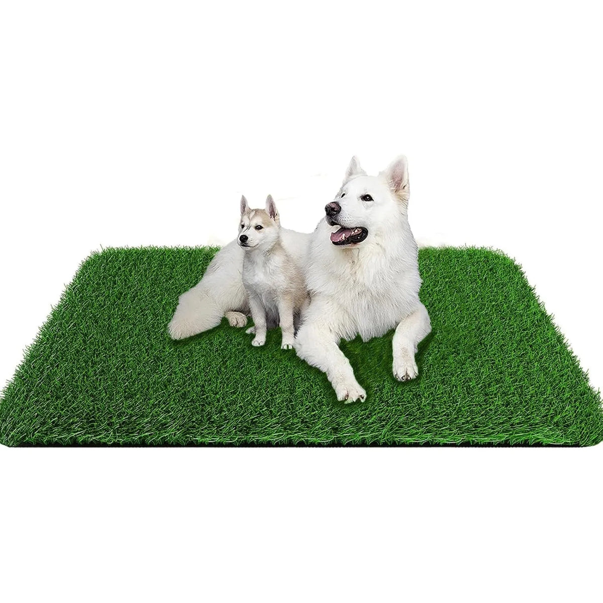 tapis imitation herbe antidérapant lavable chiens décoration toilettage écologique dense vert