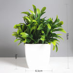 plantes artificielles vertes moderne pot blanc extérieur décoration chambre feuilles régulières exposant
