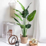 plantes artificielles ficus lyrata vertes modernes feuilles larges ovales tropicales décoration intérieure extérieure