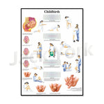 L'image montre un schéma détaillé du processus de l'accouchement, avec des illustrations explicatives des différentes étapes et des informations sur les contractions utérines.