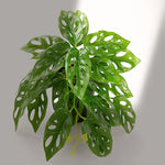 plantes artificielles vertes feuilles perforées modernes décoration intérieure pot tropical